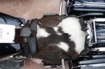 asiento3.webp