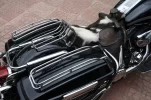 parrilla.webp