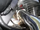 colector2.webp