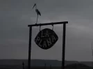 DSCF07301.webp
