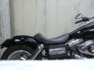 P1010018.webp