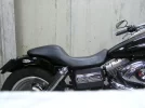 P1010020.webp