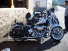 Mi Heritage Springer.webp