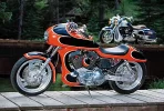 Sportster_warbird.webp