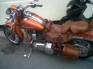 IMG00006-20100214-1025.webp