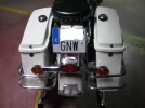 IMGP3119.webp