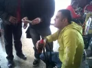 IMG00040-20100221-1338.webp