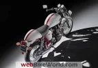 triumph.webp