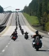 hog_bearrun_larry_lasley.webp