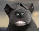 cara perro raro.webp