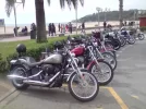 P280210_12.39.webp