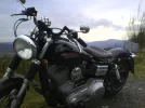 DSC00016.webp