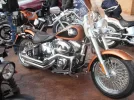 llunatica 2010 008.webp