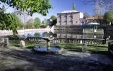 El Bosque.webp