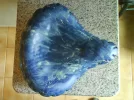 02.webp