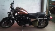 DSC00042.webp