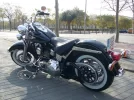 31438820.webp