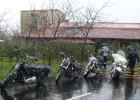 SL372877.webp