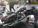 p1020553f.webp