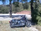 Imagen369.webp