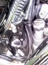 IMAG0298.webp