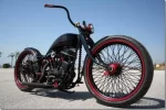 custom-harley-panafina-20093_thumb1_500.webp