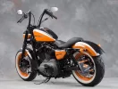 bobster_orange_4.webp