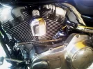 IMAG0311[1].webp