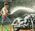 preity_zinta72_20080921_1382006135.webp