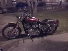 Nocturna 883C.webp