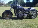 HD Gus.webp