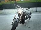 IMAG1565.webp