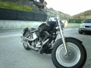IMAG1566.webp