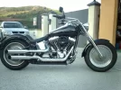 IMAG1567.webp