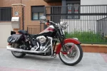 DSC_0008.webp