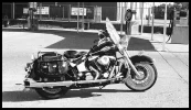 H.-Softail00840010.webp
