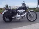 P4210001.webp