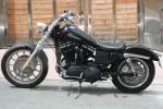 SPORTSTERNGRA8833.webp