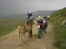 fotaza10.webp