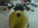 harley4.webp