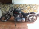 softail 1.webp