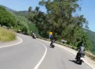 P6041488.webp