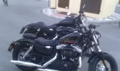 IMAG0166.webp