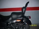 100_1618.webp
