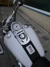34taf6r.webp