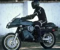 halcon_callejero_i.webp