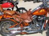IMG_4200.JPG IMG_4200.JPG