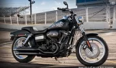 FatBob.webp