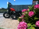 Moto Rosales.webp