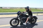 Vidal2.webp